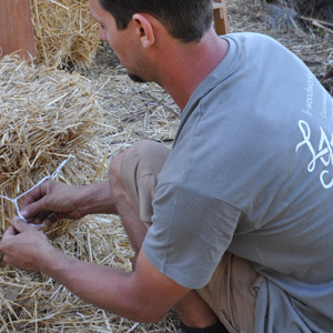 working with straw